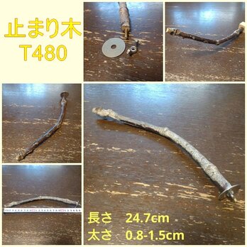 止まり木（枝：TOY-08-015）T480の画像