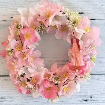 サクラ、咲く《ローズアヴァンティから桜リース》春限定咲き始めましたの画像