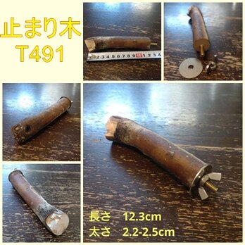 止まり木（枝：TOY-08-015）T491の画像