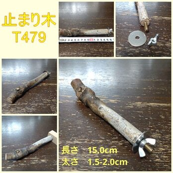 止まり木（枝：TOY-08-015）T479の画像