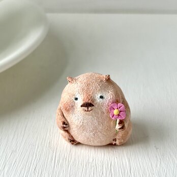 一輪のお花を持つウォンバットさんの画像