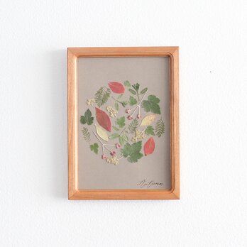 Pressed flower フレーム〜押し花アート〜A5 Cherry　Autumnの画像