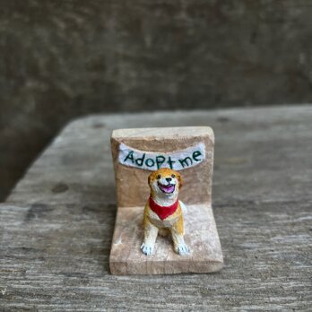 adopt me IIIの画像