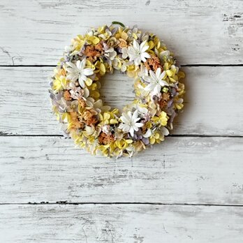 春色リース！白のデージーのスプリングリース