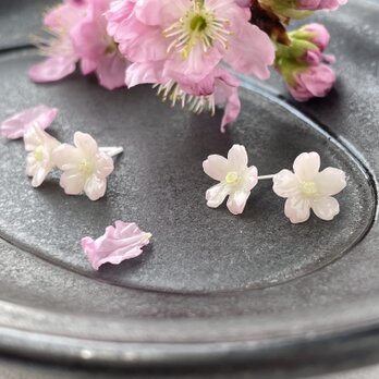 淡桜のイヤリング/glass ceramic,24kgf,silver925の画像