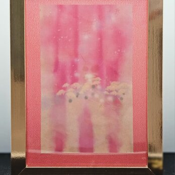 天の桜の愛の画像