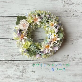 春色リース！ホワイトシャンパンの春リースの画像