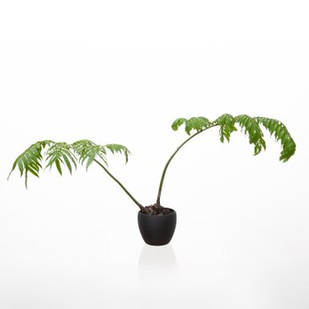 ミニマル３D植木鉢カバー｜マットブラック ［P01］ -３Dプリント鉢の画像
