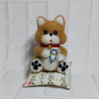 猫ちゃん抱いてクッション座りの茶虎ねこちゃん　　羊毛の画像