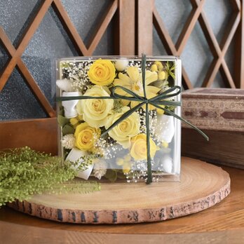 ミモザのボックスフラワー 春の贈り物　スプリングフラワー