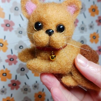キョトン顔の小さな猫ちゃん。　体にハート！キャンデー・敷クッション付き　羊毛の画像