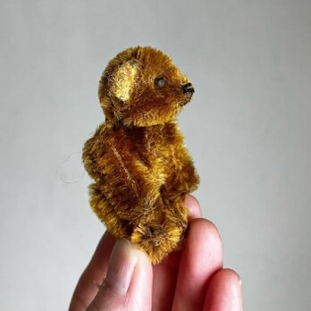 アンティーク　シュコー 小さなテディベア　ドイツの画像