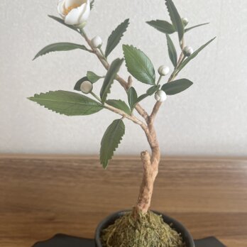 お茶の花の画像