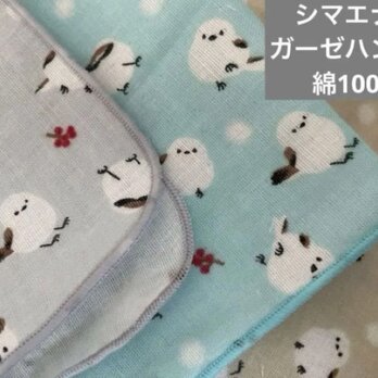 肌に優しいシマエナガ小鳥柄ガーゼハンカチガーゼ3枚セットグレー・ベージュ・ブルーの画像