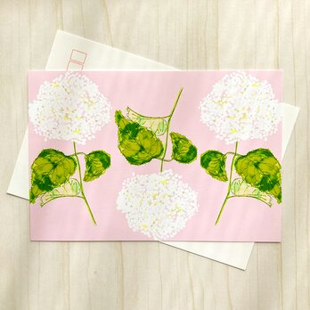 アナベル　ポストカード　2枚入