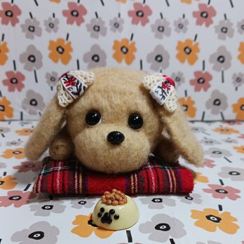 まったり－　お腹すいたよ　後ろ姿の可愛いダックスちゃん　羊毛の画像