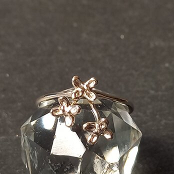 Utoka  ⭐silver 金木犀リング  cの画像