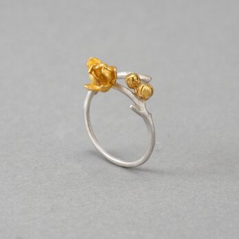 〔K18YGP〕梅の花 リングの画像