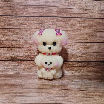 小さなマルチーズ姉妹　　羊毛の画像