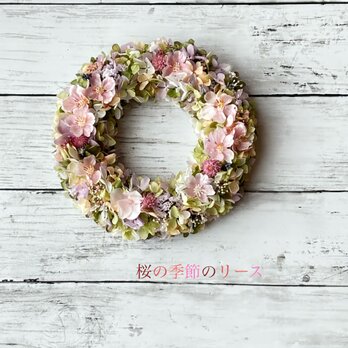 春満開！桜の季節のリースの画像