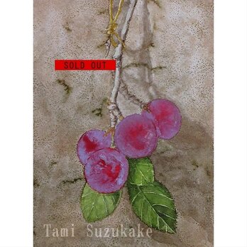 水彩画・原画「プラムの実」