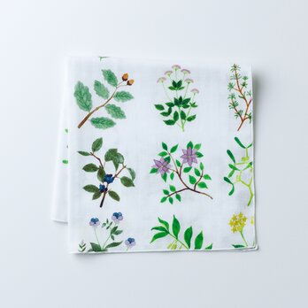 ハンカチ / plants