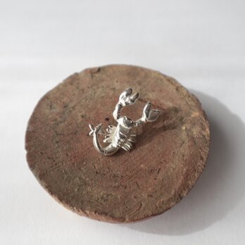 【Silver925】【片耳】Scorpionのピアスの画像