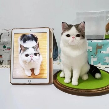 【受注作製】羊毛フェルト、うちの子、猫ぬいぐるみ、フェルト猫、ペットの肖像画、犬猫人形、トイプードル、ペットロス、うちのこ記念日の画像