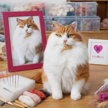 羊毛フェルト そっくり ペット オーダーメイド｜写真から作る リアル ペットぬいぐるみ｜愛犬 愛猫 虹の橋 メモリアル ペット