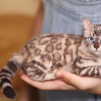 【受注作製】羊毛フェルト、うちの子、猫ぬいぐるみ、フェルト猫、ペットの肖像画、犬猫人形、トイプードル、ペットロス、うちのこ記念日の画像