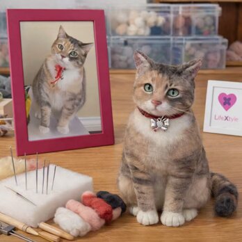 羊毛フェルト そっくり ペット オーダーメイド｜写真から作る ペットリアル ぬいぐるみ｜愛犬 愛猫 ロス メモリアル レプリカ