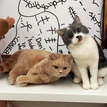 【受注作製】羊毛フェルト、うちの子、猫ぬいぐるみ、フェルト猫、ペットの肖像画、犬猫人形、トイプードル、ペットロス、うちのこ記念日の画像