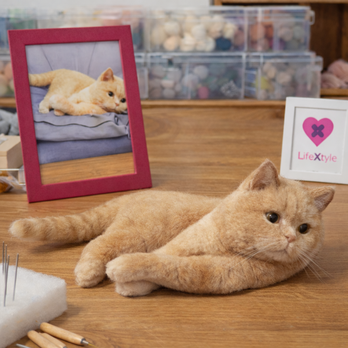 羊毛フェルト そっくり ペット オーダーメイド｜写真から作る リアル ペットぬいぐるみ｜愛犬 愛猫 虹の橋 メモリアル ペット