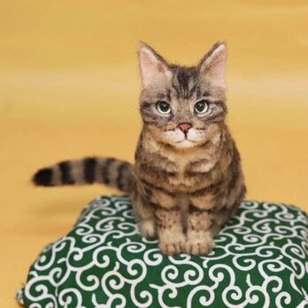 【受注作製】羊毛フェルト、うちの子、猫ぬいぐるみ、フェルト猫、ペットの肖像画、犬猫人形、トイプードル、ペットロス、うちのこ記念日の画像