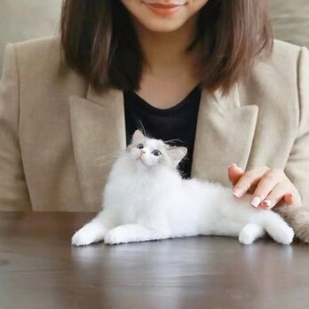 【受注作製】羊毛フェルト、うちの子、猫ぬいぐるみ、フェルト猫、ペットの肖像画、犬猫人形、トイプードル、ペットロス、うちのこ記念日の画像