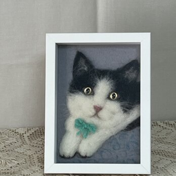 羊毛フェルト猫のポートレートの画像