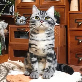 【受注作製】羊毛フェルト、うちの子、猫ぬいぐるみ、フェルト猫、ペットの肖像画、犬猫人形、トイプードル、ペットロス、うちのこ記念日の画像