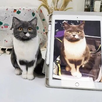 【受注作製】羊毛フェルト、うちの子、猫ぬいぐるみ、フェルト猫、ペットの肖像画、犬猫人形、トイプードル、ペットロス、うちのこ記念日の画像