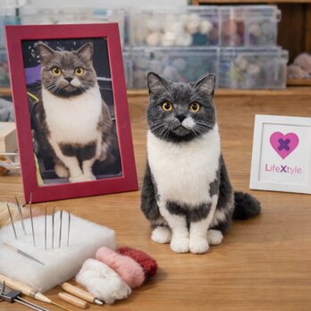 羊毛フェルト そっくり ペット オーダーメイド｜写真から作る リアル ペットぬいぐるみ｜愛犬 愛猫 虹の橋 メモリアル ペット