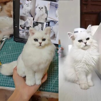 【受注作製】羊毛フェルト、うちの子、猫ぬいぐるみ、フェルト猫、ペットの肖像画、犬猫人形、トイプードル、ペットロス、うちのこ記念日の画像