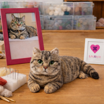 羊毛フェルト そっくり ペット オーダーメイド｜写真から作る ペットリアル ぬいぐるみ｜愛犬 愛猫 ロス メモリアル レプリカ