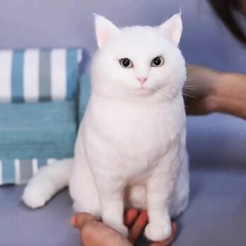 【受注作製】羊毛フェルト、うちの子、猫ぬいぐるみ、フェルト猫、ペットの肖像画、犬猫人形、トイプードル、ペットロス、うちのこ記念日の画像