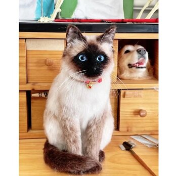 【受注作製】羊毛フェルト、うちの子、猫ぬいぐるみ、フェルト猫、ペットの肖像画、犬猫人形、トイプードル、ペットロス、うちのこ記念日の画像