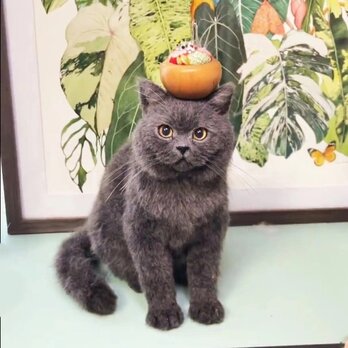 【受注作製】羊毛フェルト、うちの子、猫ぬいぐるみ、フェルト猫、ペットの肖像画、犬猫人形、トイプードル、ペットロス、うちのこ記念日の画像
