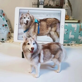 【受注作製】羊毛フェルト、うちの子、犬ぬいぐるみ、フェルト犬、ペットの肖像画、犬猫人形、トイプードル、ペットロス、うちのこ記念日の画像