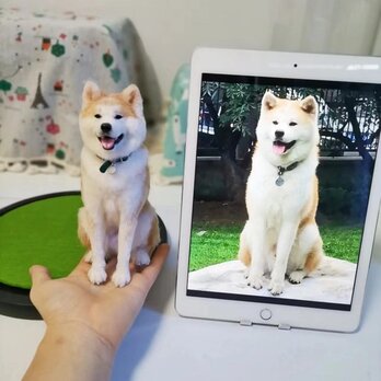 【受注作製】羊毛フェルト、うちの子、犬ぬいぐるみ、フェルト犬、ペットの肖像画、犬猫人形、トイプードル、ペットロス、うちのこ記念日の画像