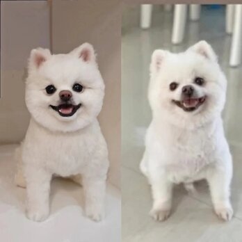 【受注作製】羊毛フェルト、うちの子、犬ぬいぐるみ、フェルト犬、ペットの肖像画、犬猫人形、トイプードル、ペットロス、うちのこ記念日の画像