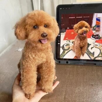 【受注作製】羊毛フェルト、うちの子、犬ぬいぐるみ、フェルト犬、ペットの肖像画、犬猫人形、トイプードル、ペットロス、うちのこ記念日の画像