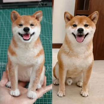 【受注作製】羊毛フェルト、うちの子、犬ぬいぐるみ、フェルト犬、ペットの肖像画、犬猫人形、トイプードル、ペットロス、うちのこ記念日の画像