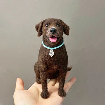【受注作製】羊毛フェルト、うちの子、犬ぬいぐるみ、フェルト犬、ペットの肖像画、犬猫人形、トイプードル、ペットロス、うちのこ記念日の画像